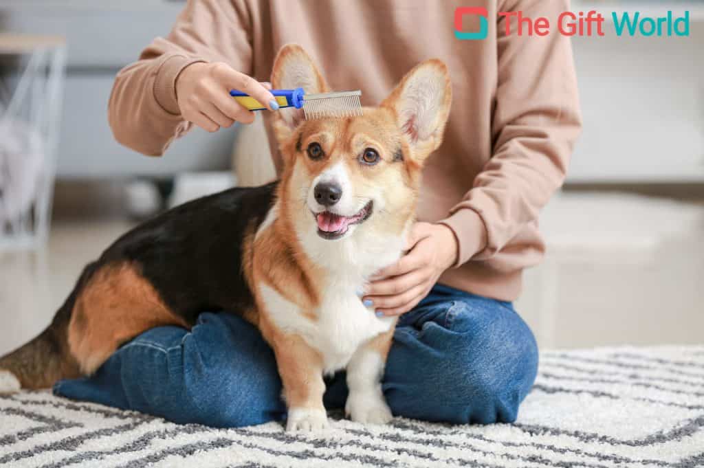 christmas gifts for dog owners