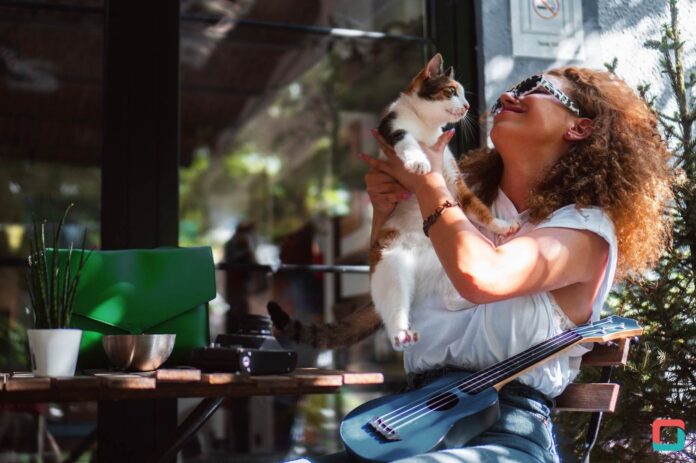 best gifts for cat lovers