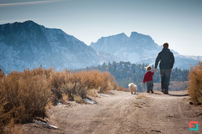 best gifts for dog dads