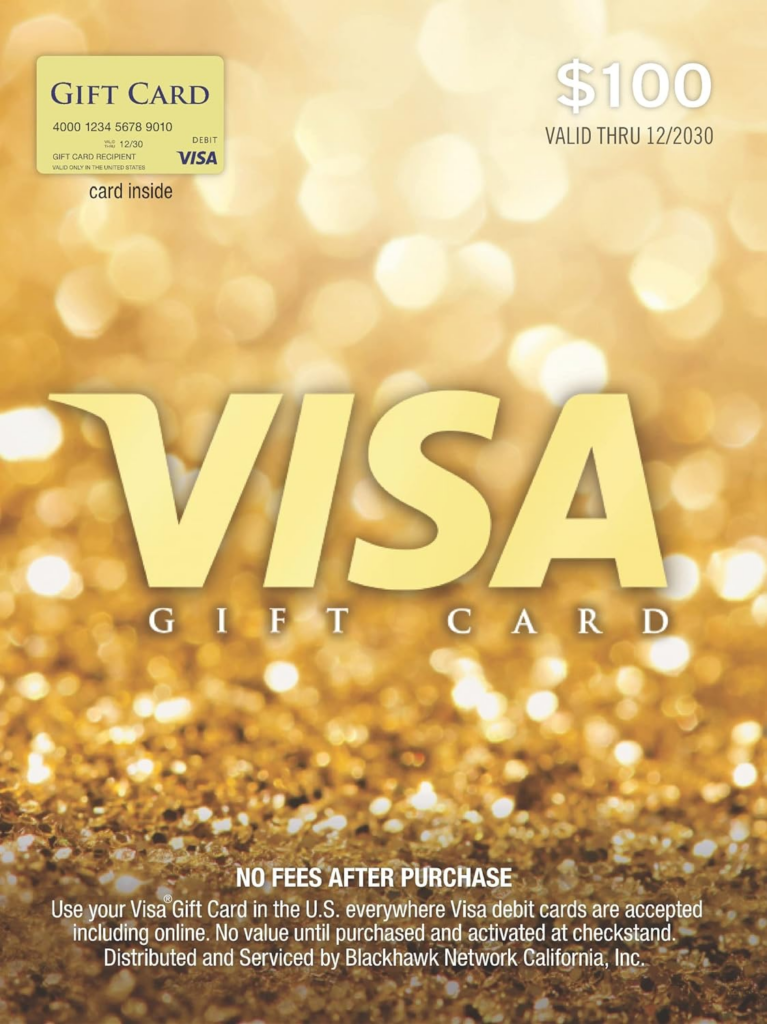 Visa $100 Gift Card